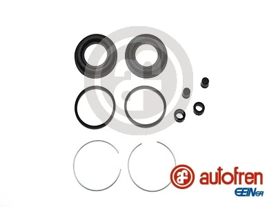 D42105 Autofren