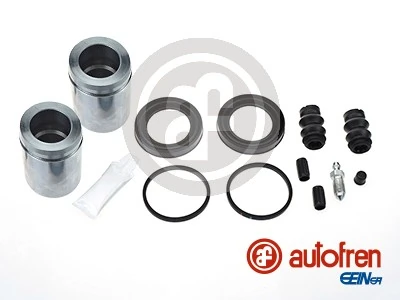 D42063C Autofren