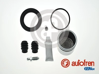 D41893C Autofren