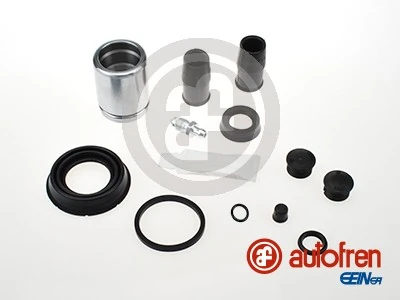 D42381C Autofren