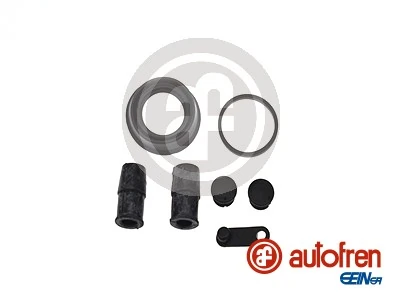 D42408 Autofren