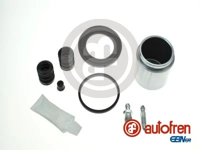D41991C Autofren