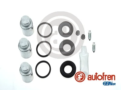 D42498C Autofren