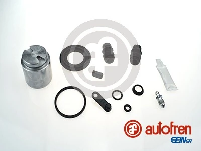 D42499C Autofren