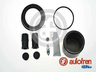 D42300C Autofren