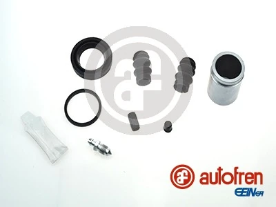 D42184C Autofren