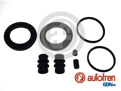 D43125 Autofren