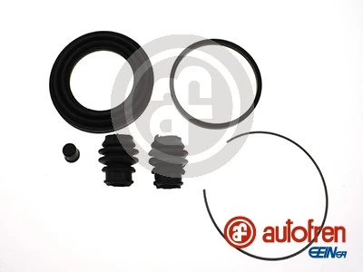 D43098 Autofren