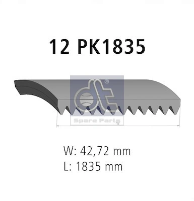 504022568 Iveco Correa poly v
