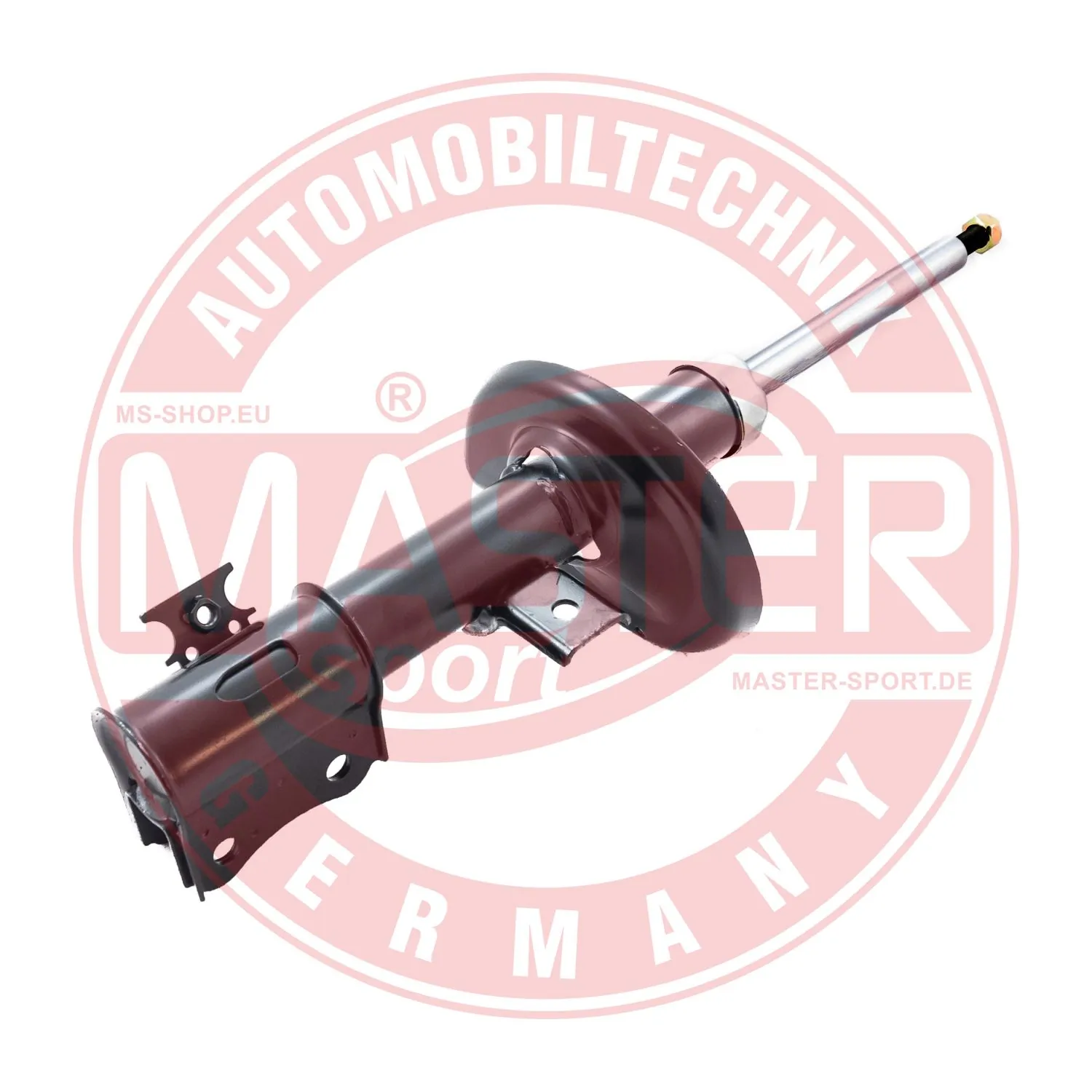 317176PCSMS Master-sport