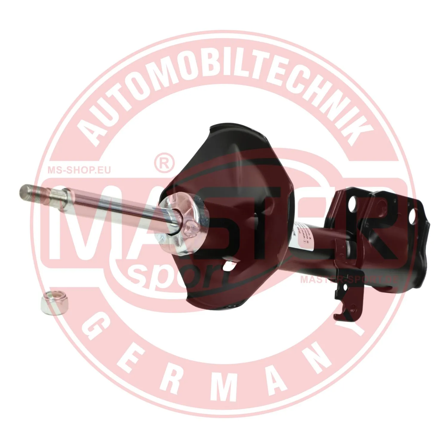 317109PCSMS Master-sport