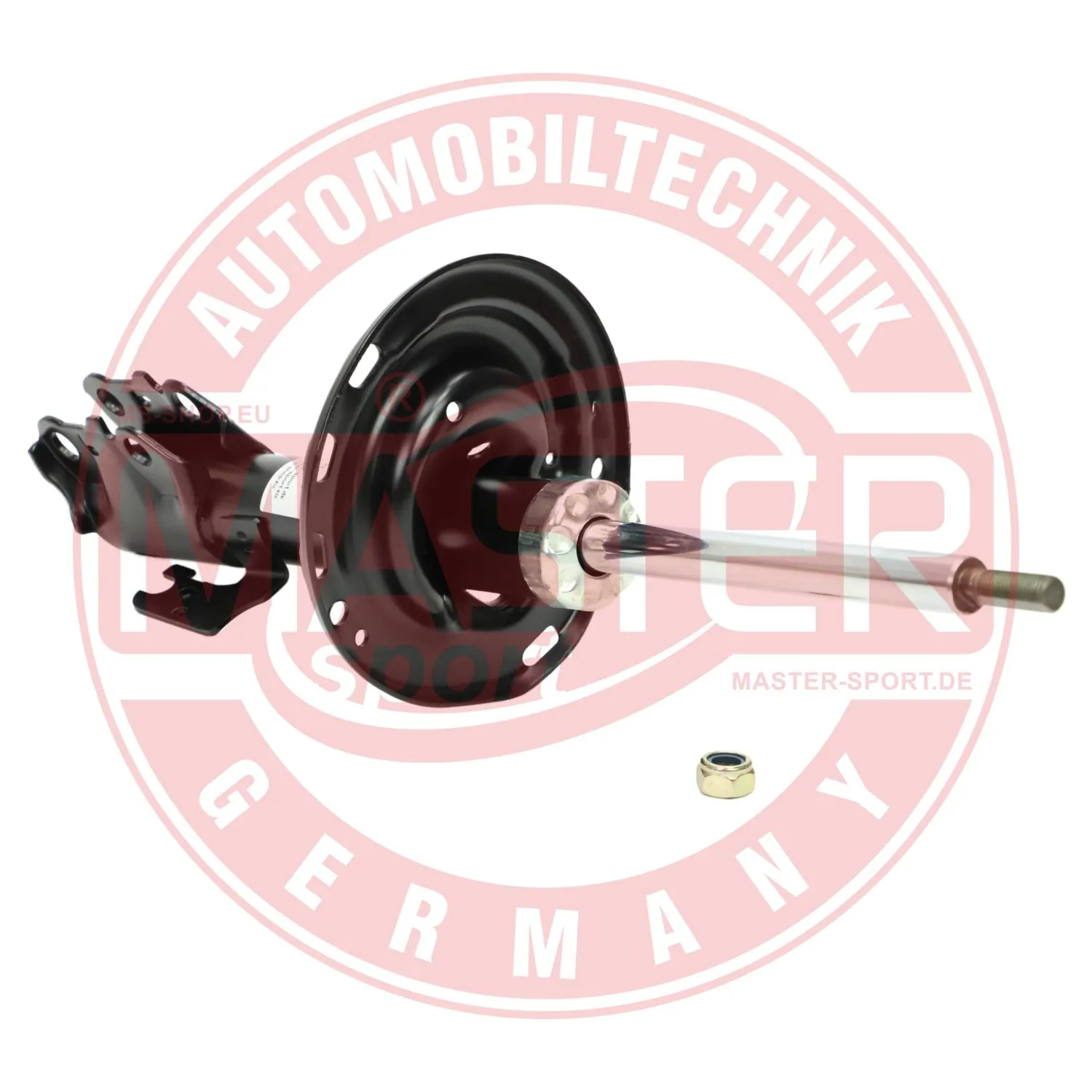 317117PCSMS Master-sport