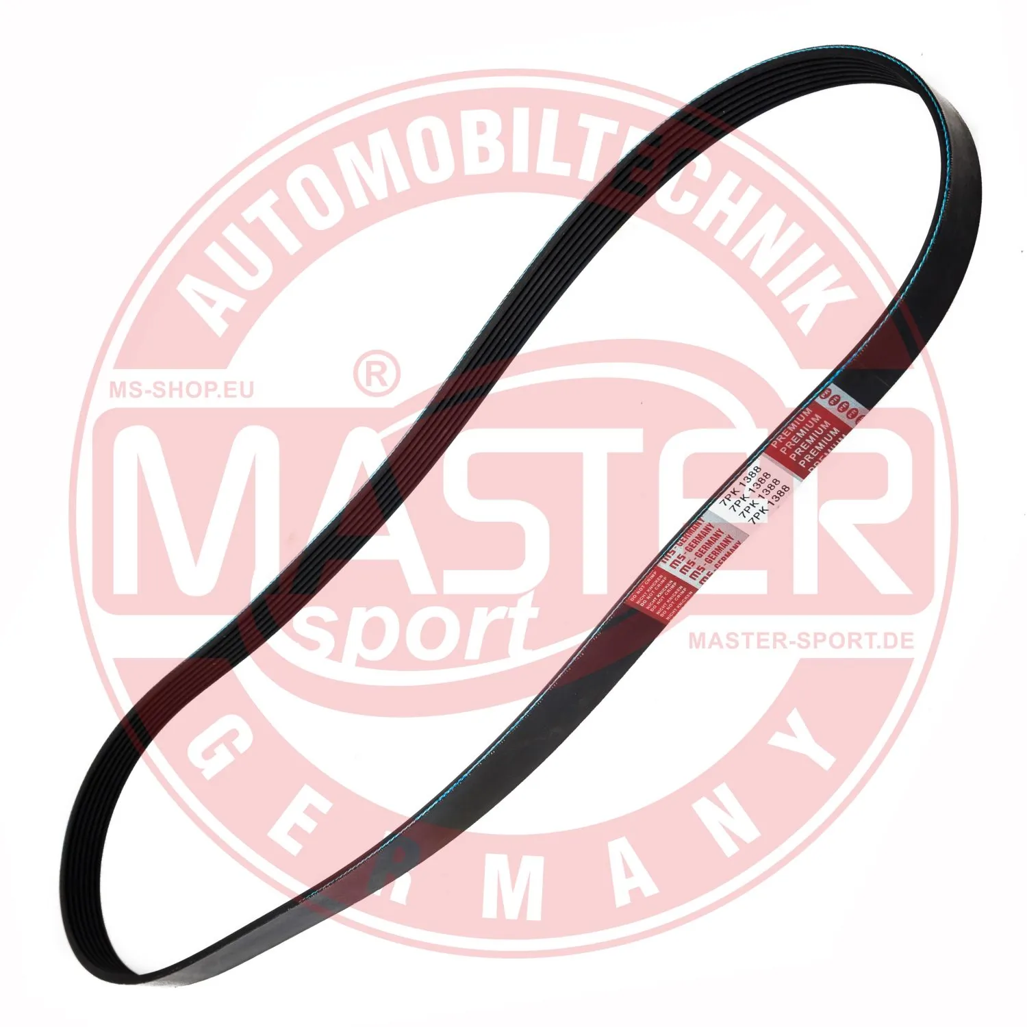 7PK1388PCSMS Master-sport