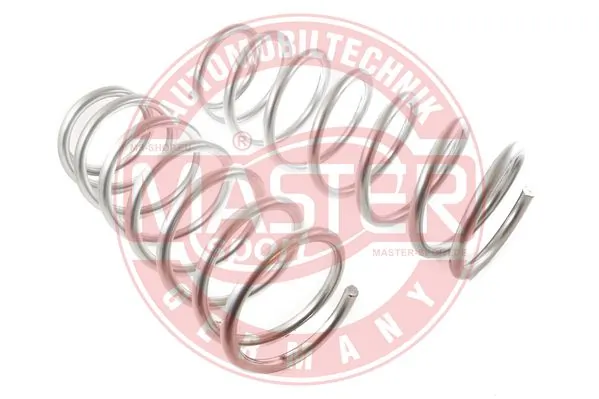 4017706SET2MS Master-sport