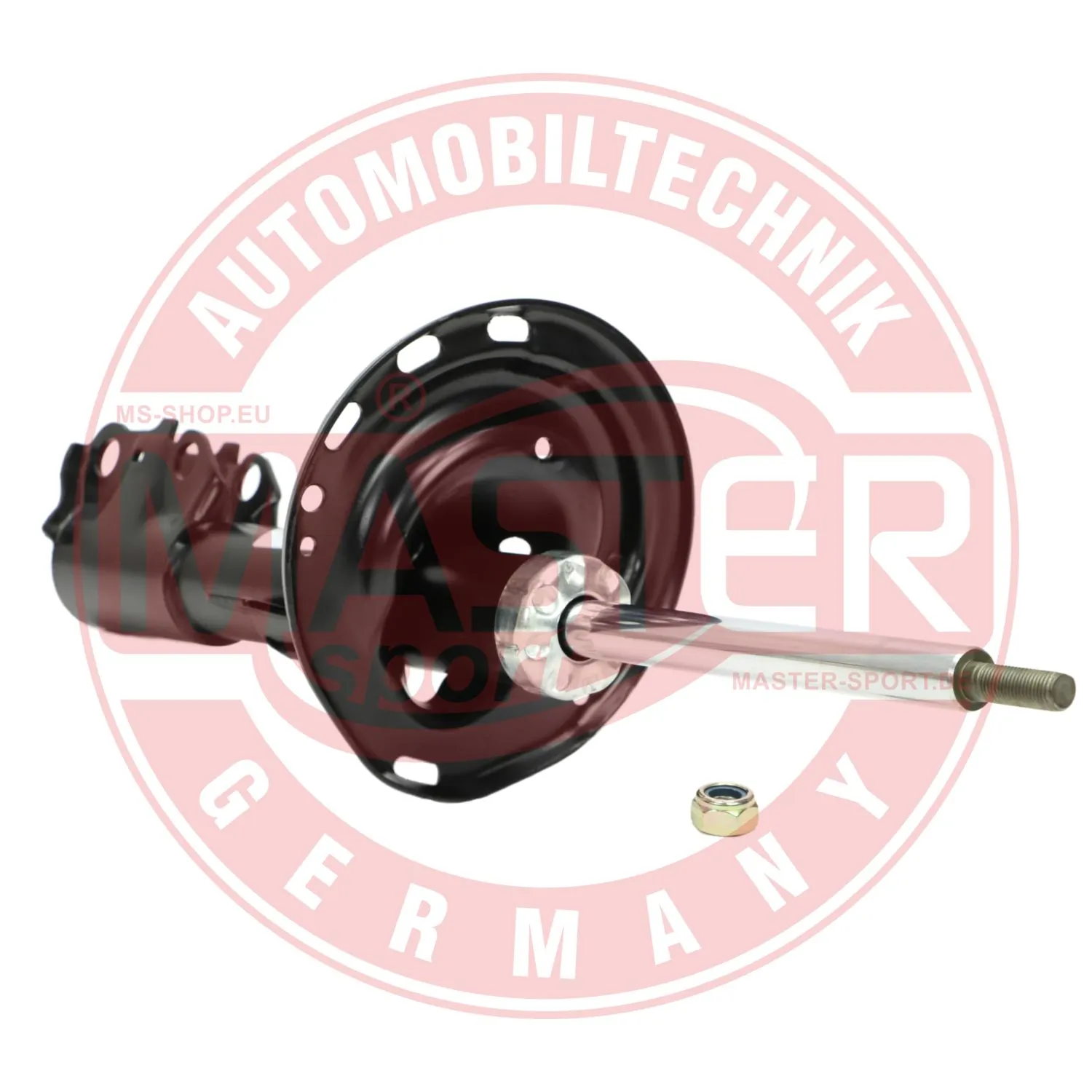 317116PCSMS Master-sport