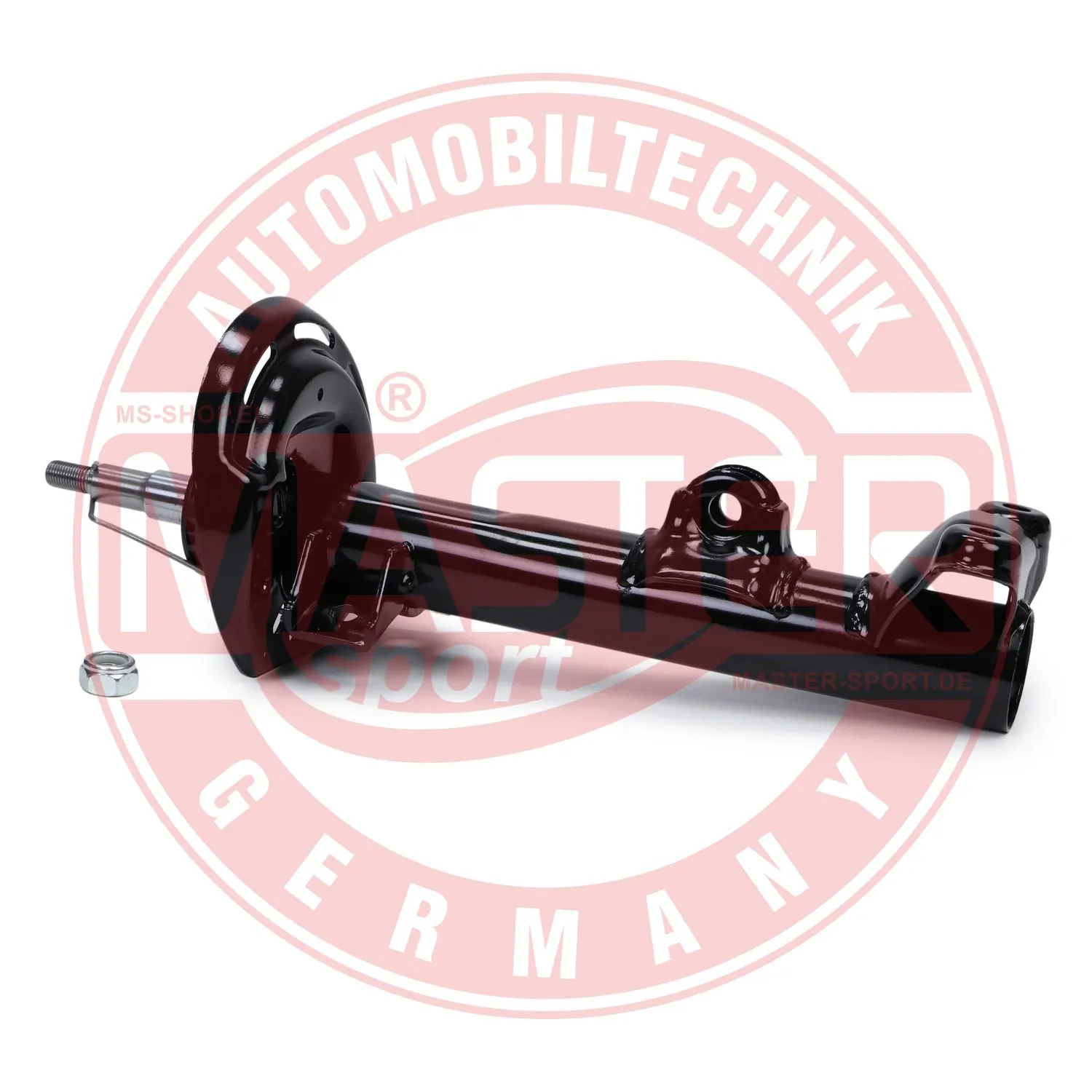 317556PCSMS Master-sport