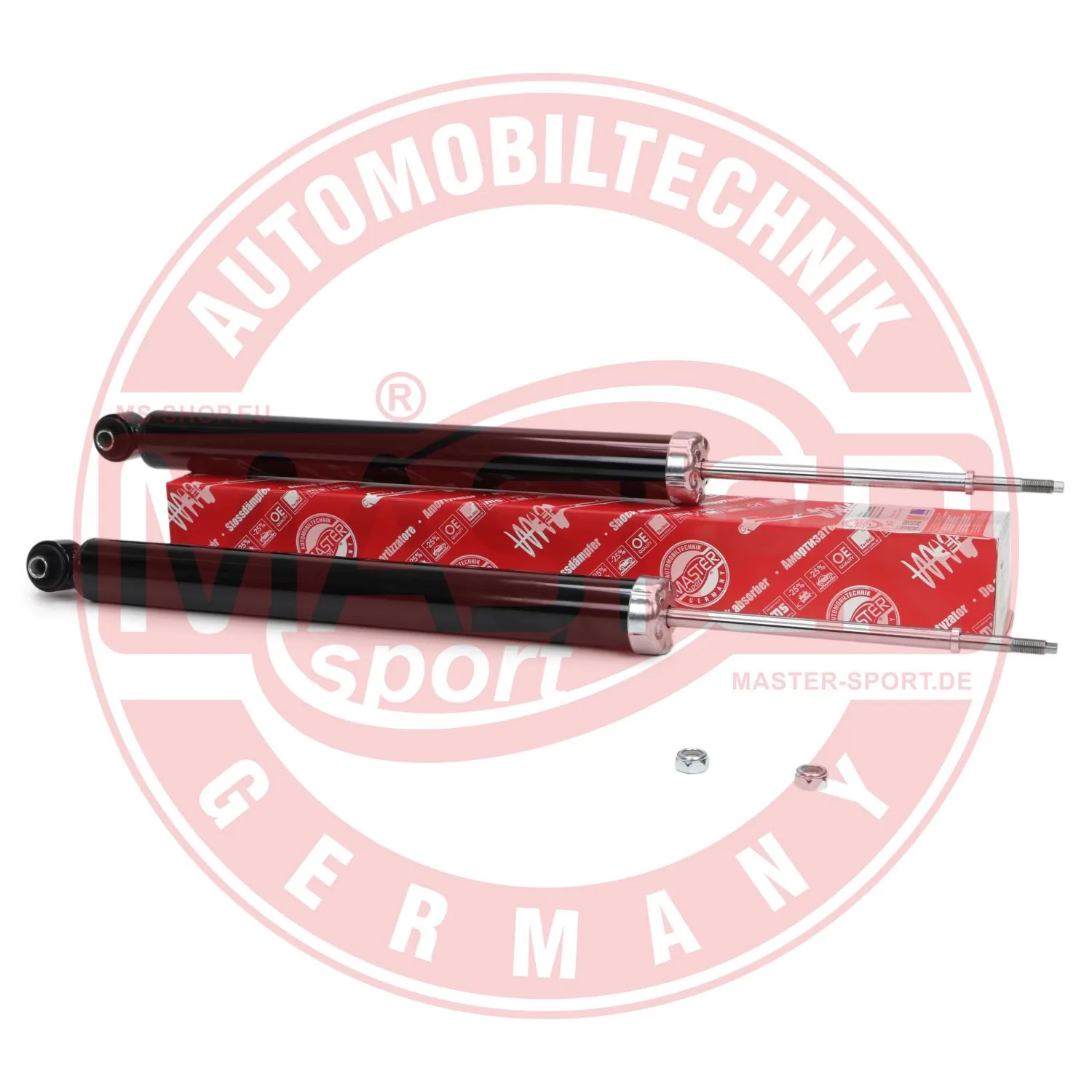 16K006732 Master-sport