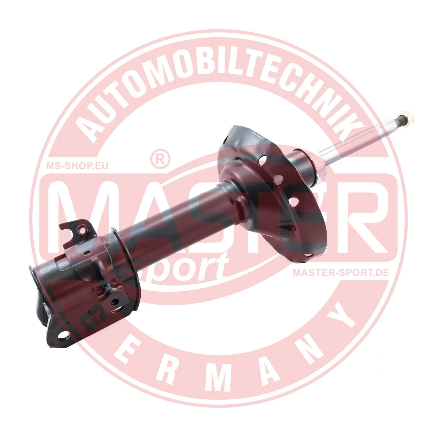 312896PCSMS Master-sport