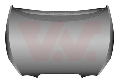 Capot para Seat Leon II (1P1)