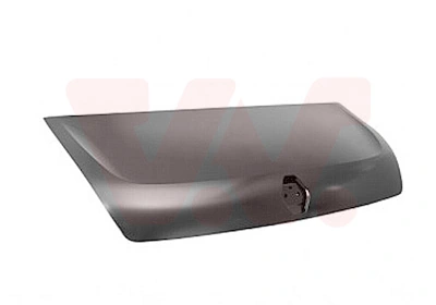 Capot para Renault Master III (FV)