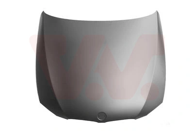 Capó del motor BMW 3 E92