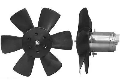 5812746 VAN Wezel