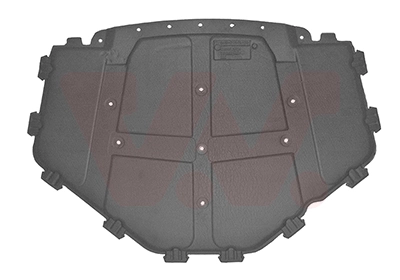 Aislante de capot para BMW X5 (E70)