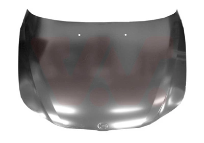 Capó para BMW 5 E60
