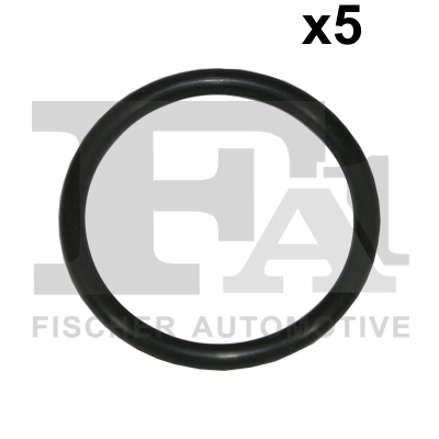 076389005 FA1