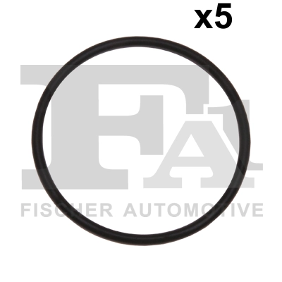 076529005 FA1