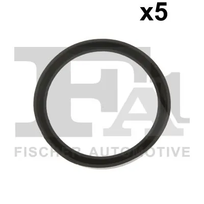 076531005 FA1
