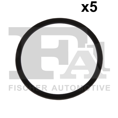 076429005 FA1