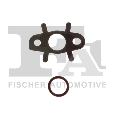 KT228515 FA1