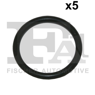 076387005 FA1