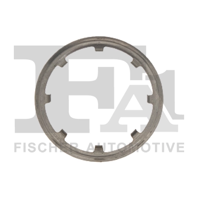 100933 FA1