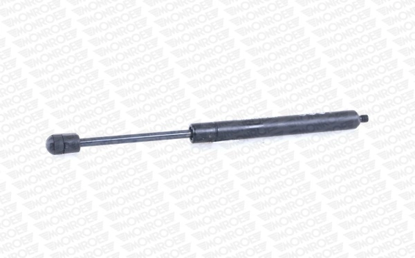 Amortiguador de porton Citroen C5  (2001-2004)