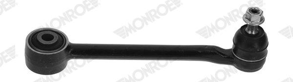 L13J03 Monroe