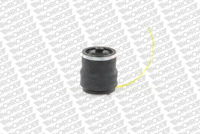 SD0008 Monroe