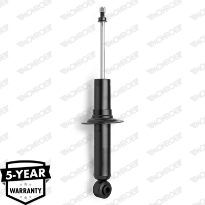 RS312925 Raiso Amortiguadores posteriores