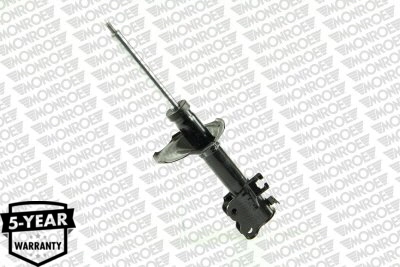 G16793 Monroe