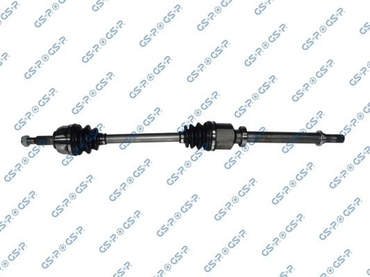 250495 GSP