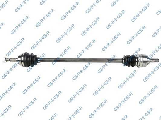 244033 GSP