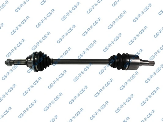 218036 GSP