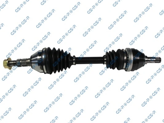 244020 GSP