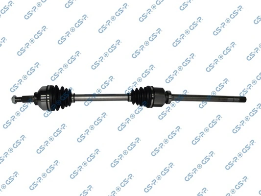 250562 GSP