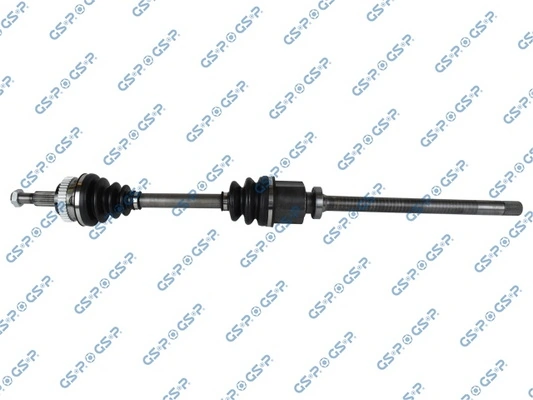 250019 GSP