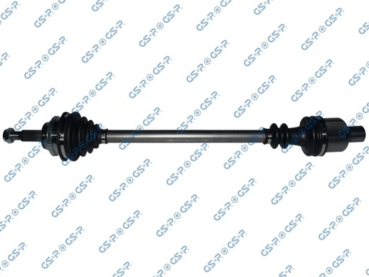 250325 GSP