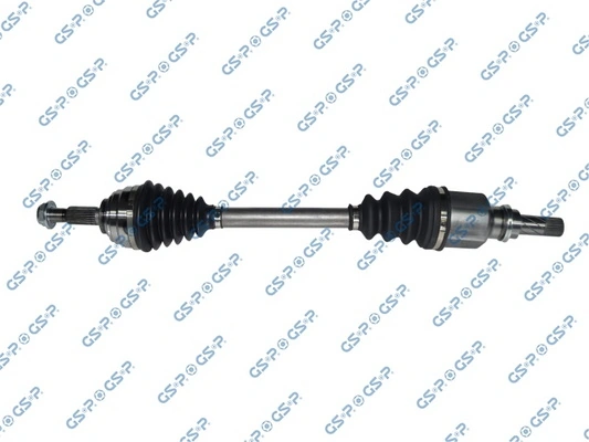 250405 GSP