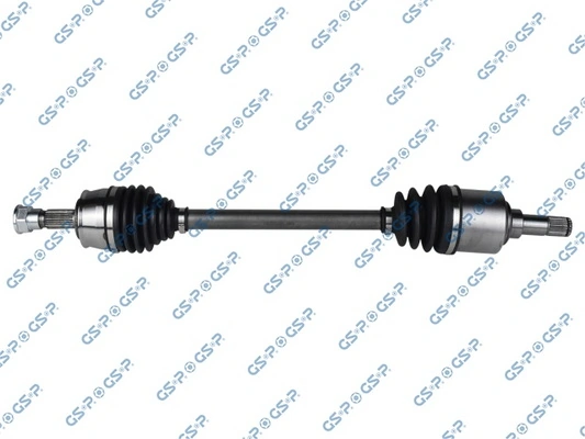 217222 GSP