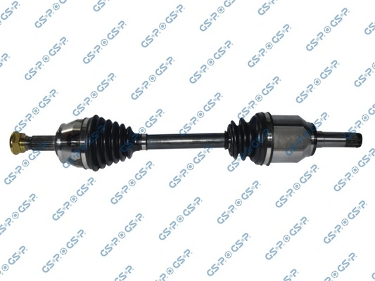 217165 GSP